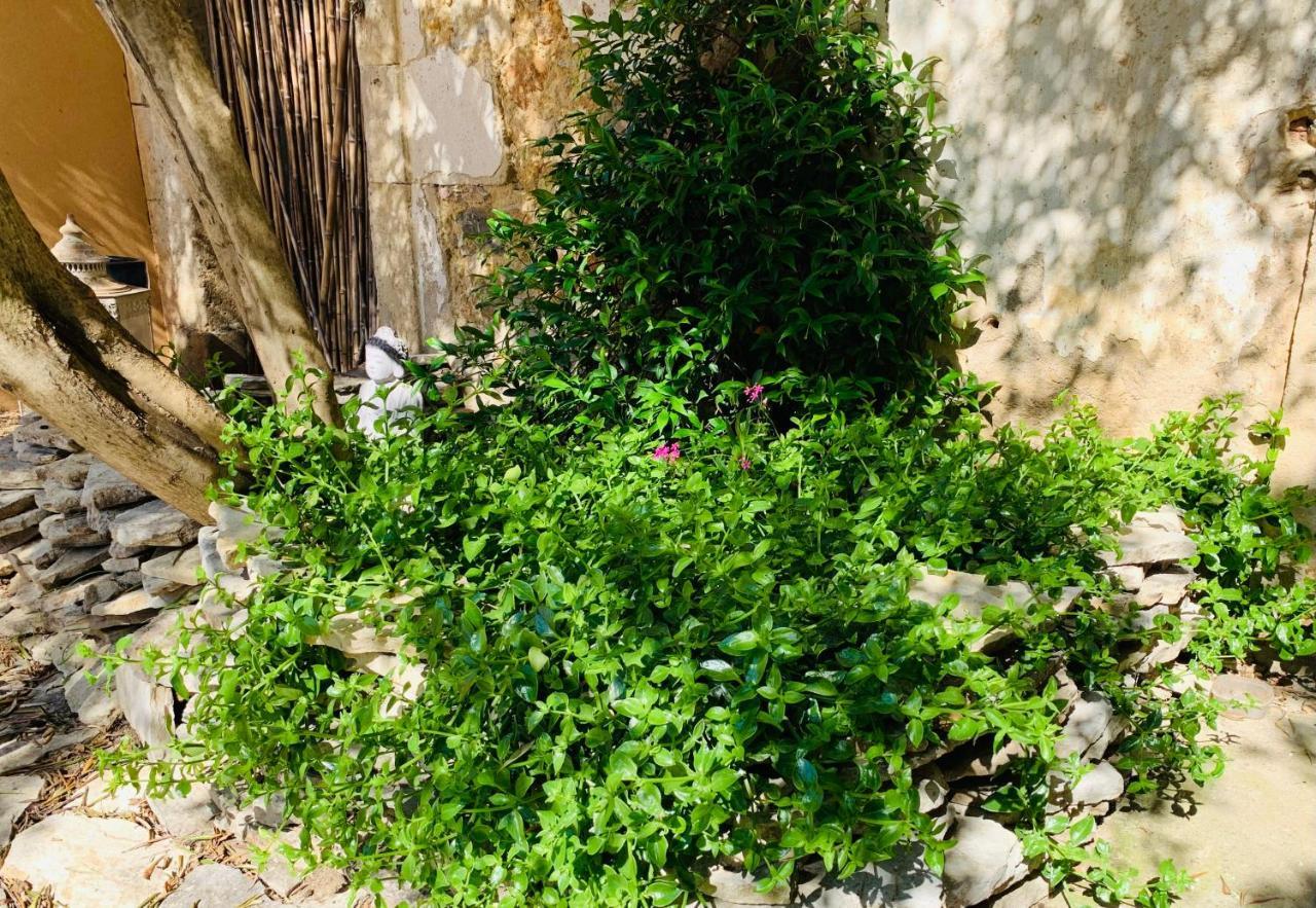 Appartement Avec Jardin Privatif Cazouls-lès-Béziers 外观 照片