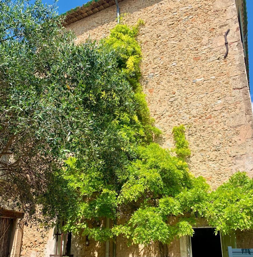 Appartement Avec Jardin Privatif Cazouls-lès-Béziers 外观 照片